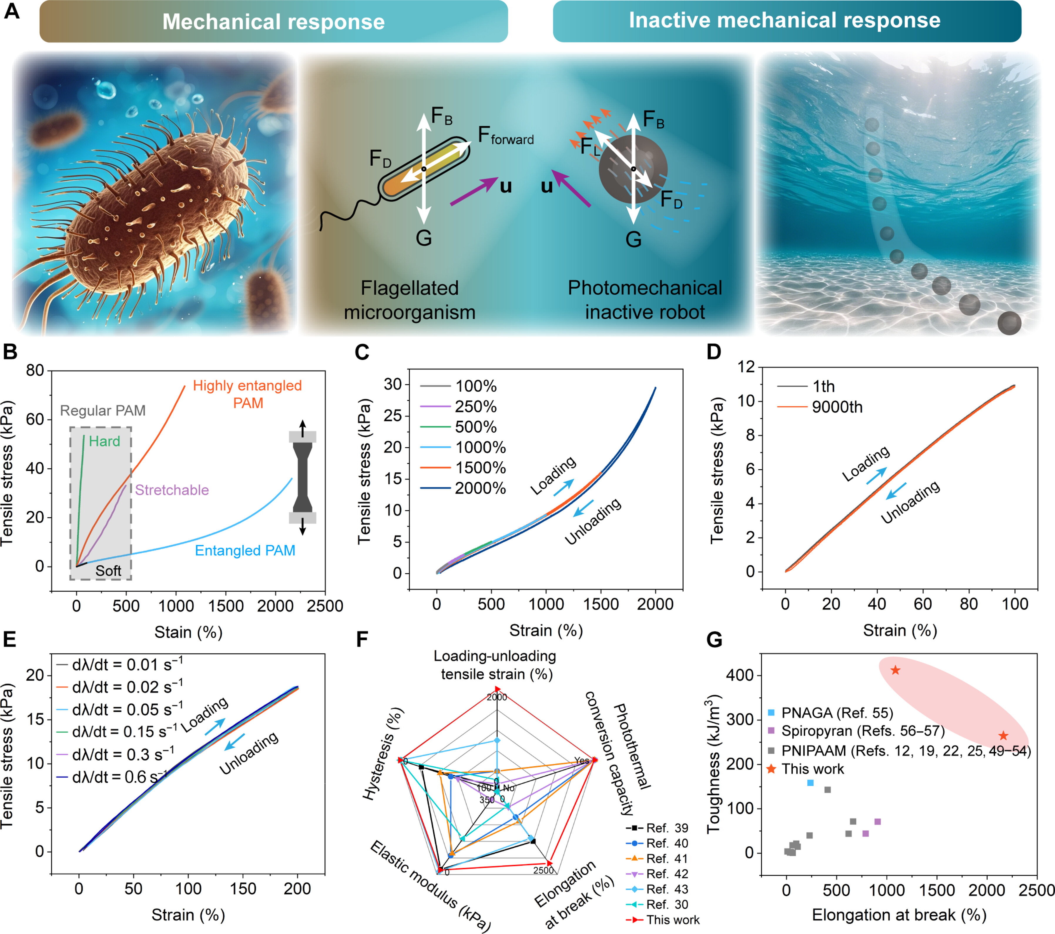 1748480439754203.jpg sciadv.ads4507-f1.jpg