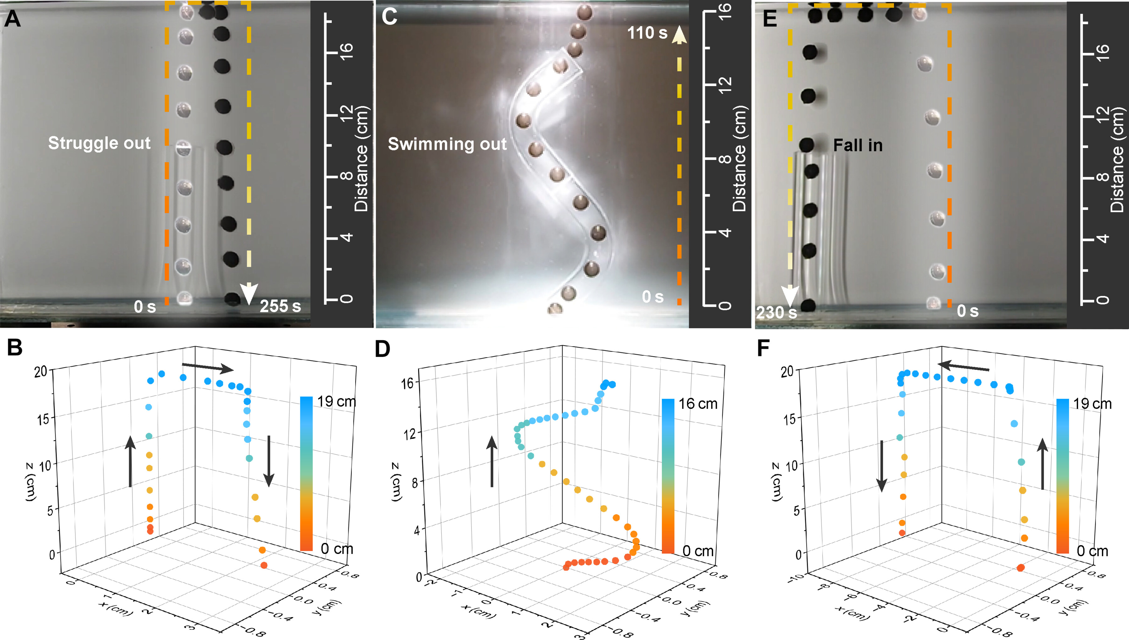 1748480462725391.jpg sciadv.ads4507-f4.jpg