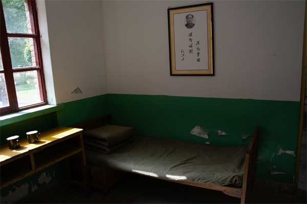 1723117296299533.jpg _DSC0096-已增强-NR(1).jpg