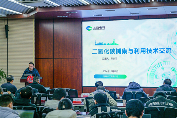 1734613738928300.jpg 图6.jpg